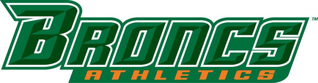 Texas-Pan American Broncs 2010-2014 Wordmark Logo diy iron on heat transfer